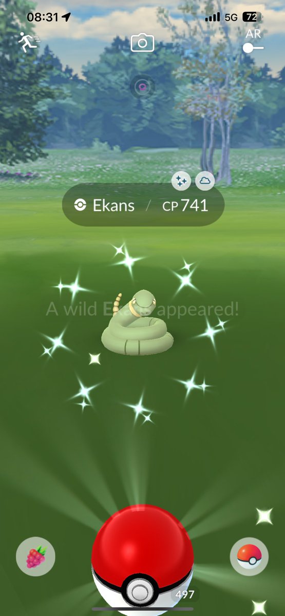 SveinTorill's tweet photo. mrorning☕️😌

#PokemonGO #ShinyPokemon https://t.co/GSK1erZjr7