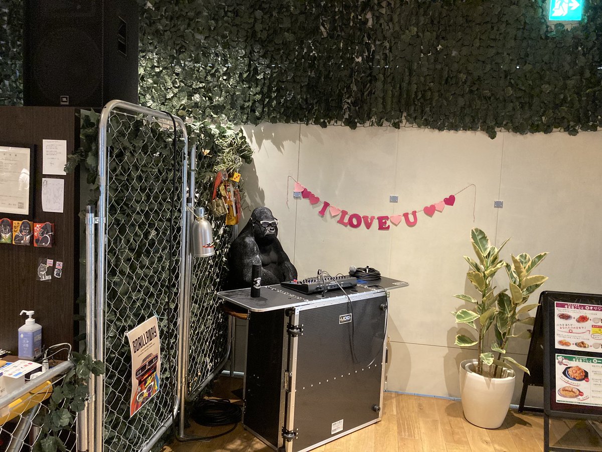 うちのゴリラ、今日からDJブースに籠ってます。