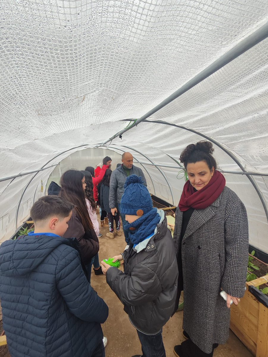 Valnalon's tweet photo. La pasada semana fue una semana intensa de #acompañamiento y realización de talleres con las #cooperativas de #EmprenderenMiEscuela de los centros con los que trabajamos. ¡Enhorabuena! 👏

@camarasoria @Ayto_Soria @dipsoria https://t.co/YVcGXBFEol