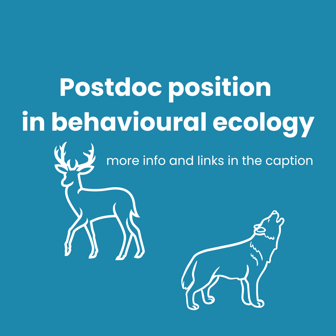 🦌 #PostDocPosition in #ecology 🐺 Would you like to explore how the movement of red deer, their use of space, their choice of habitat & foraging behaviour change during recolonisation by wolfs? Apply until 1st March ⬇️ fld.czu.cz/en/r-9415-scie… #AcademicTwitter #Wildlife