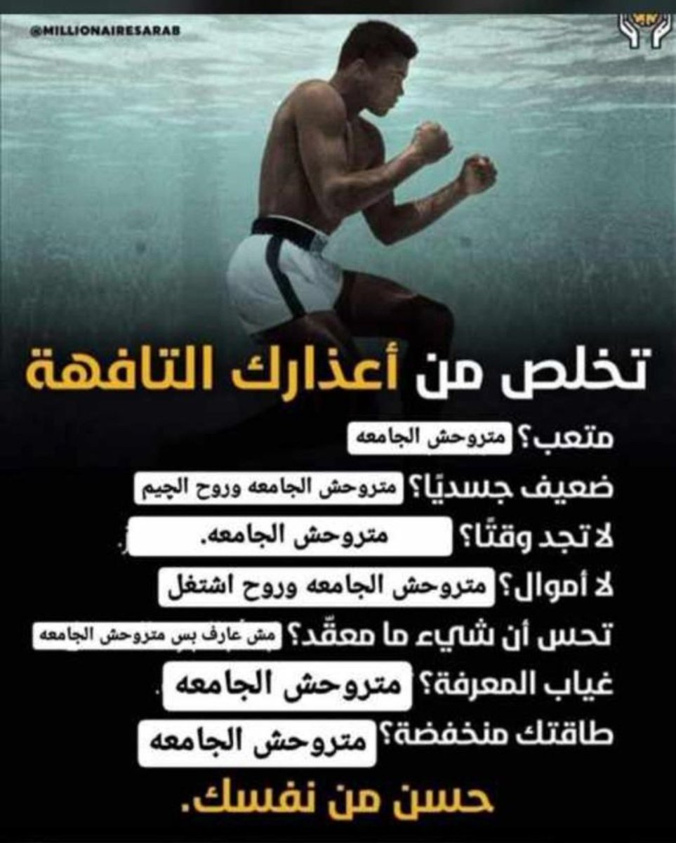 B tweet media