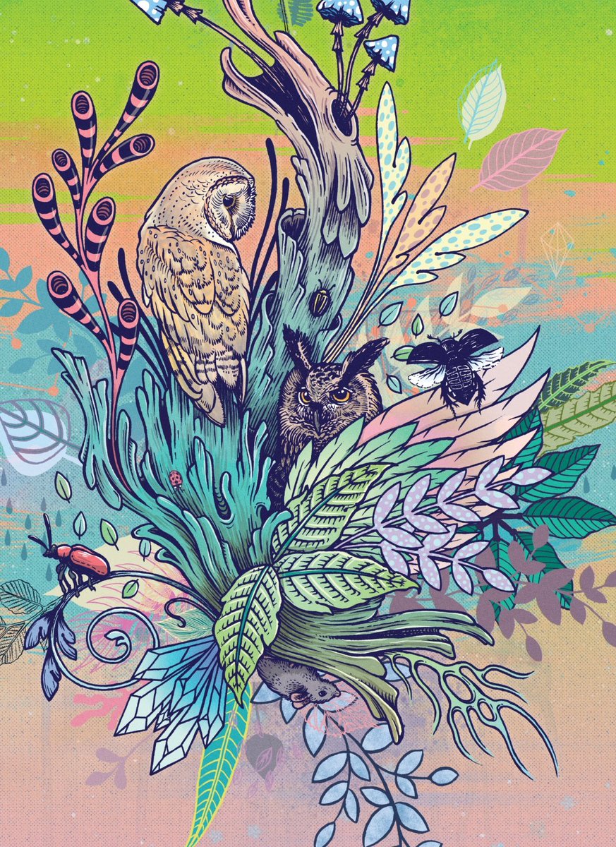 Gm ✨️🌿