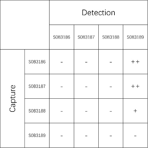 Starterbio's tweet photo. #IVD #Antibody #IL25 #allergic #inflammation

IL-25 Recombinant Rabbit mAb (SDT-615-14)
Catalog Number: S0B3186
Application: Sandwich ELISA
Link: https://t.co/g5hfpU5KiE

#Diagnostics #IHC #recombinant #antibody #CDx #IVD #cancer #pathology https://t.co/9qgQPNnCRL