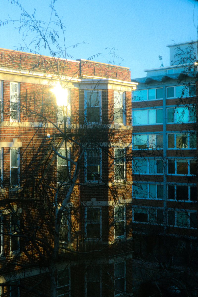 inspiboard's tweet image. 