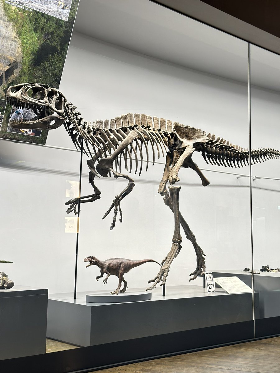 世界ではじめて科学的に認められた恐竜、メガロサウルス✨ 今から200年