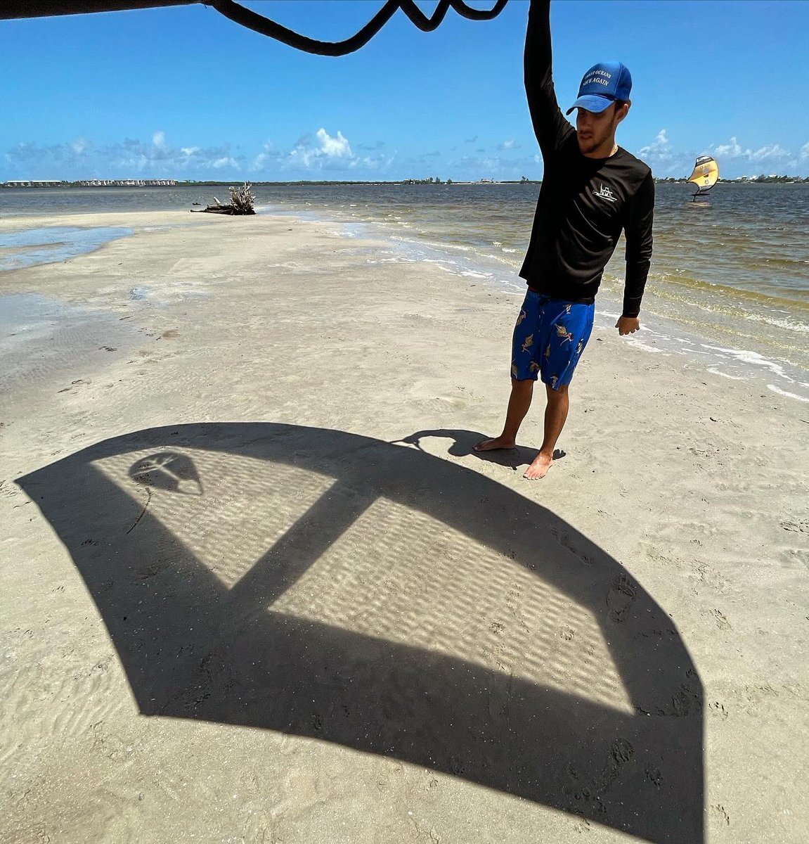 Tona Life tweet media