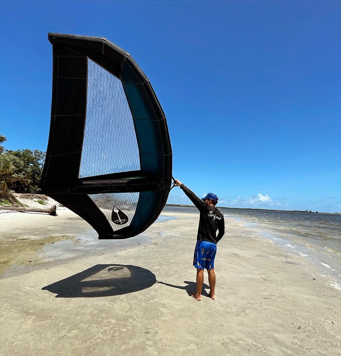 Tona Life tweet media