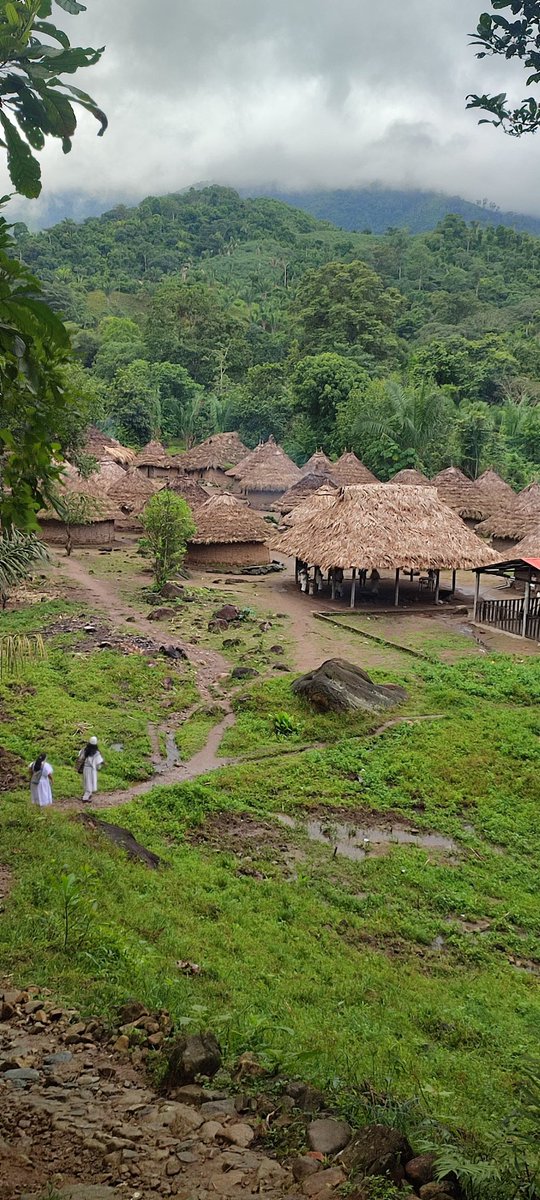 El Atanquero 🤠 tweet media