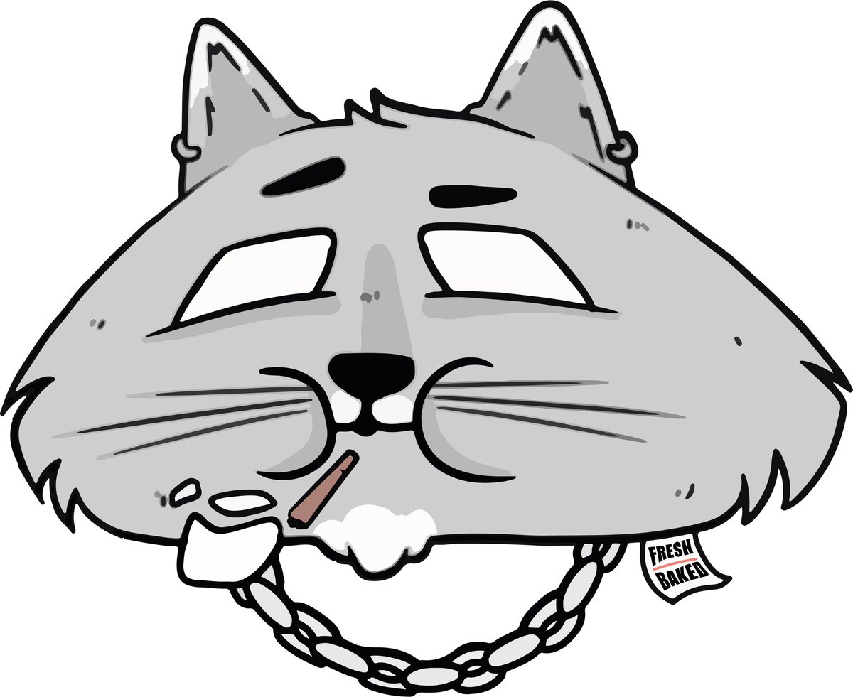 🐱💨⛓️🆕