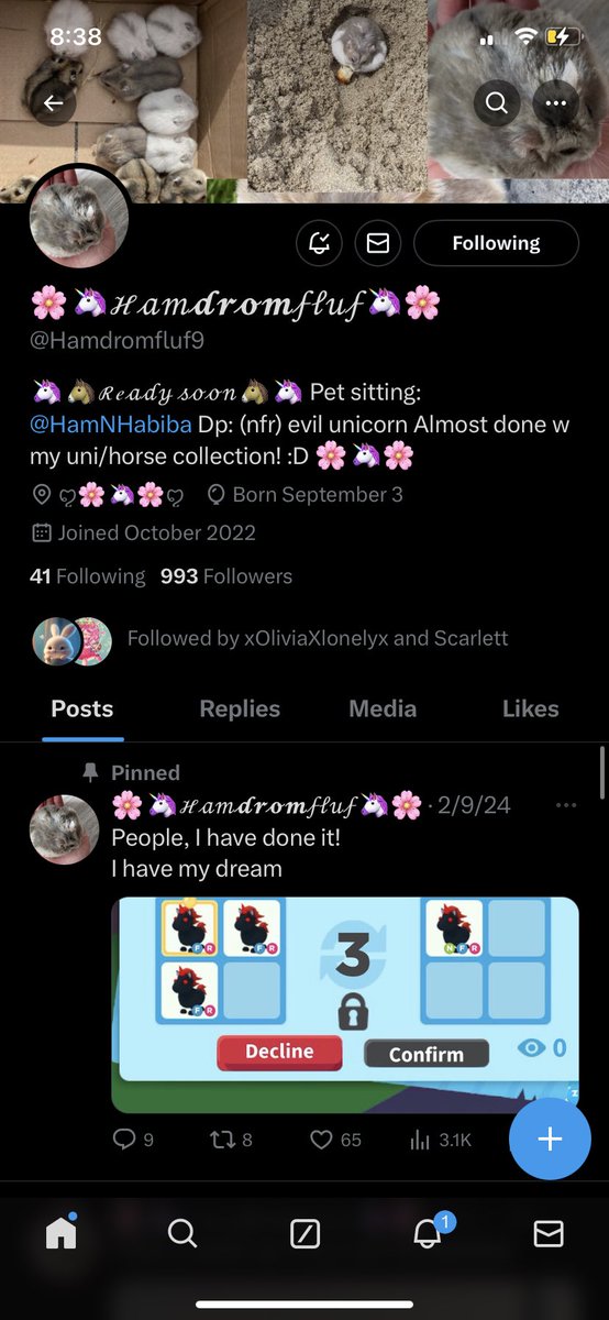 Andres🪼𓇼. tweet media