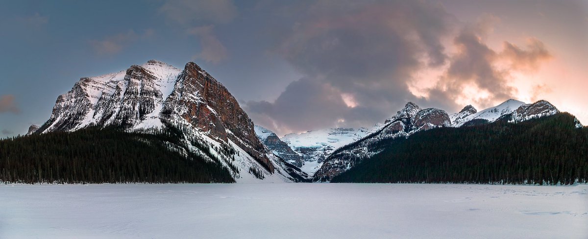 PattiVerse's tweet image. GN!
Have a great sleep! 
💤🌙💤