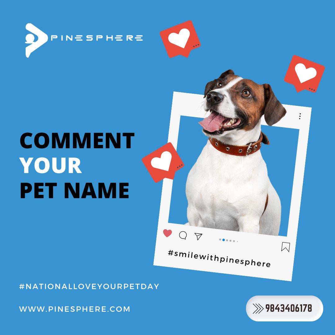 Pinesphere Solutions tweet media
