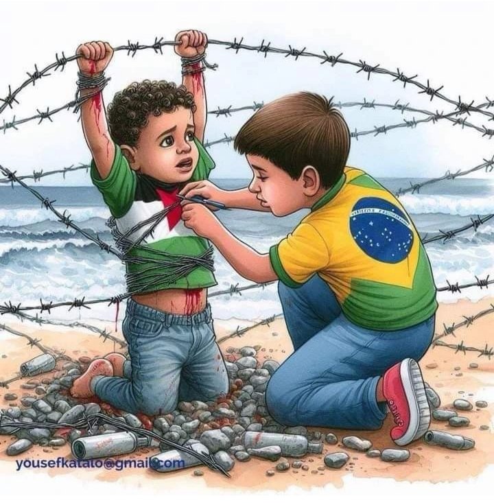 Omar Mota tweet media