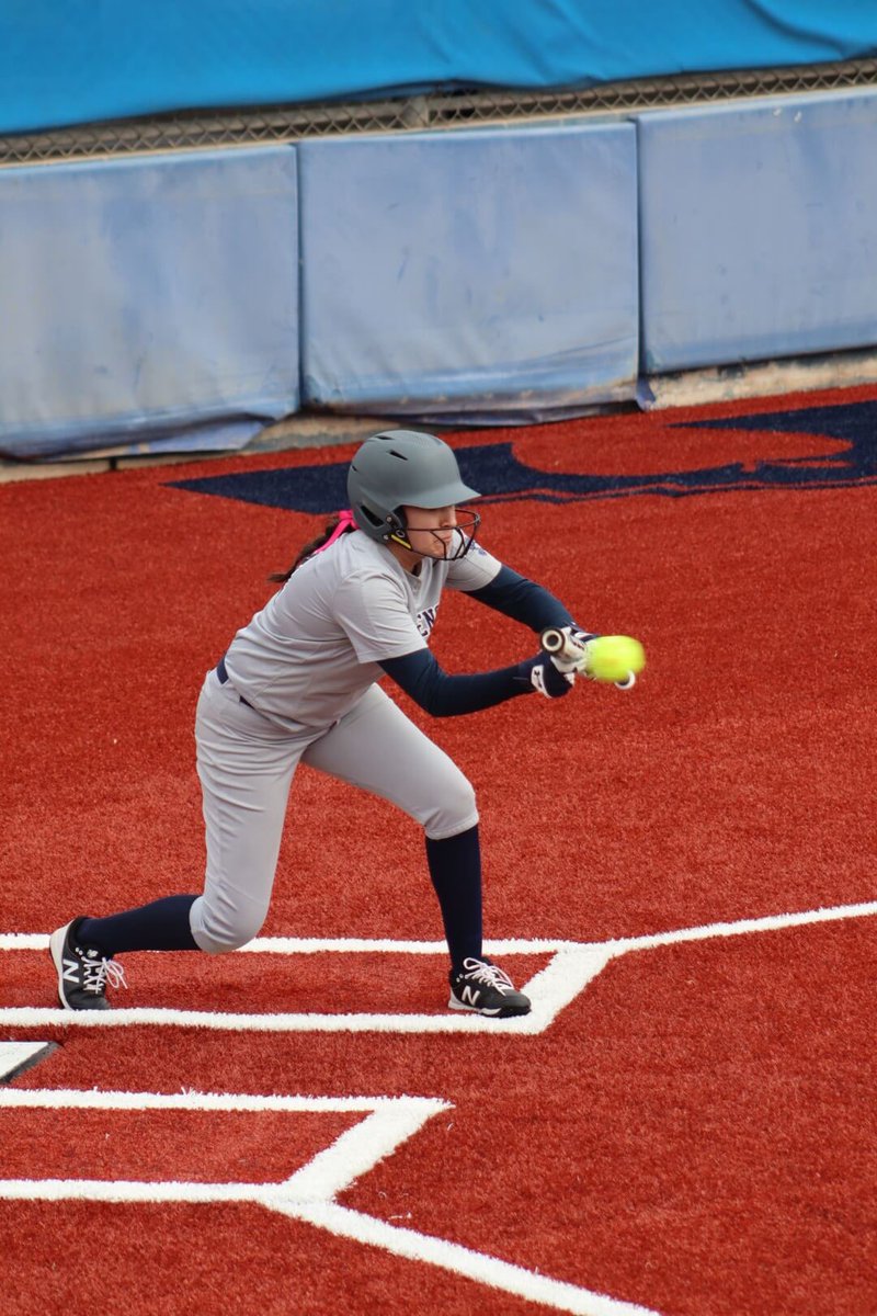 Provet Softball tweet media