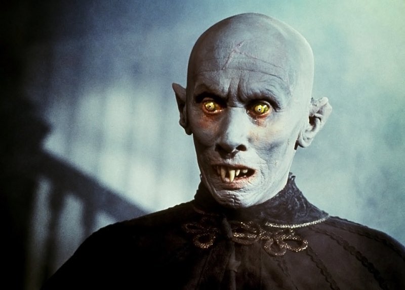 DiscussingFilm's tweet photo. Stephen King says the new ‘SALEM’S LOT’ film, which wrapped filming under WB over 2 years ago, is “quite good.”

“Old-school horror filmmaking: slow build, big payoff. Not sure why WB is holding it back; not like it's embarrassing, or anything. Who knows. I just write the fucking things.”