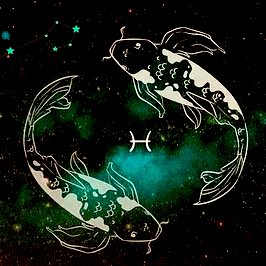 XX_1133_1221_11 tweet media