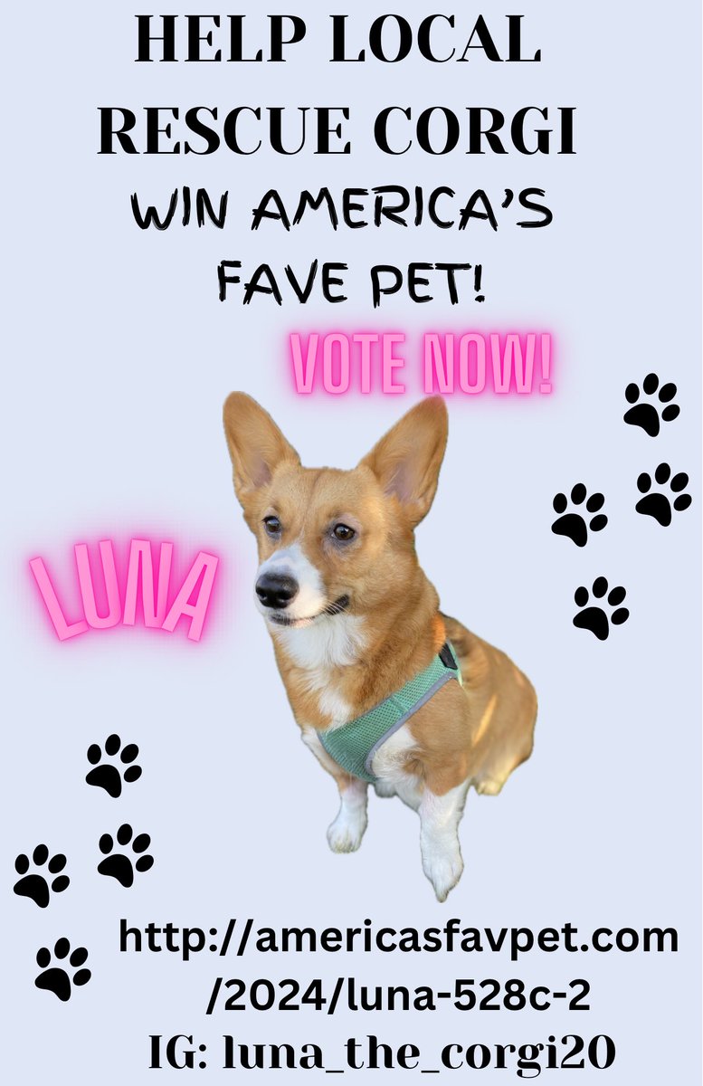 anndawson's tweet photo. https://t.co/cXGvTgVSZ3 Help Luna win! #corgis #americasfavepet #pembrokewelshcorgi https://t.co/q8gfo5YrJq