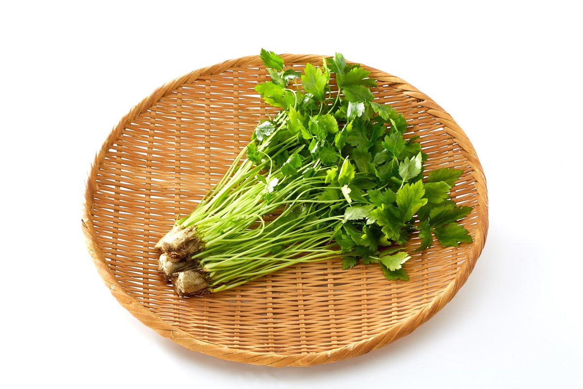＼3月28日は #みつばの日／ #茨城県 の「みつば」は生産量全国第2位✨ セリ科ミツバ属の多年草で、1本の葉柄に葉が3枚ずつつくことから“三つ葉”と呼ばれます。 料理に香りと美味しさ、美しさを添えてくれる食材です😊 みつばを使用したレシピ👇 ibaraki-shokusai.net/recipe/?brand=…