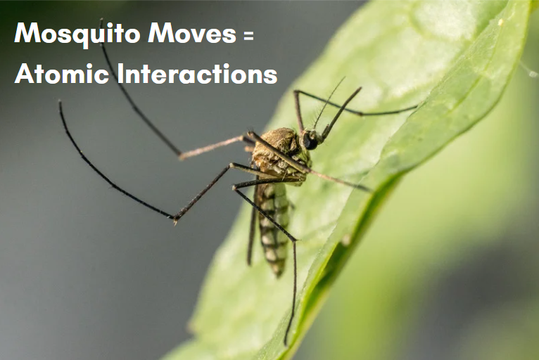 LiviaChanL's tweet photo. I have the great pleasure to collab with @Meghan_Lawson @bmartinreal for a special #legacyoflearning project this Feb to help uplift & support educators.
Learn more by reading my latest blog post about "mosquito moves" & #atomicinteractions. Join us! ♥️
https://t.co/6TimsYJ1tg https://t.co/RNNLTLwE7F