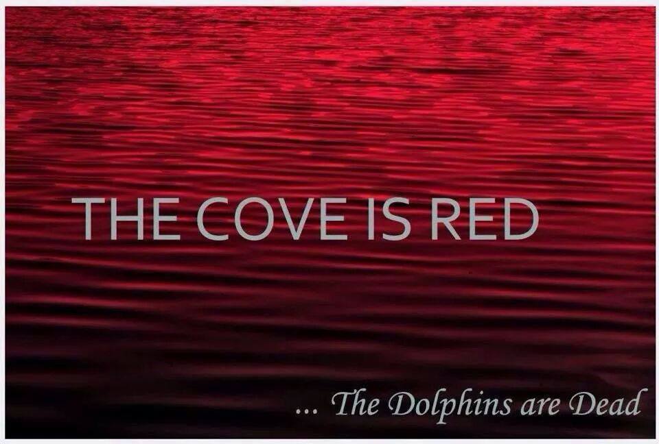 Japans dolphin killers killed a family of Striped dolphins today #RIP Boycott Japan
