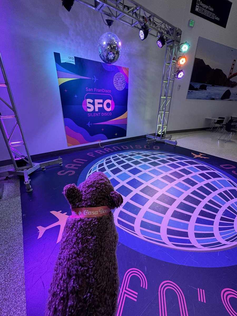 San FranDisco 🪩 🕺 Super fun install in Term 1 at <a href="/flySFO/">San Francisco International Airport (SFO) ✈️</a>