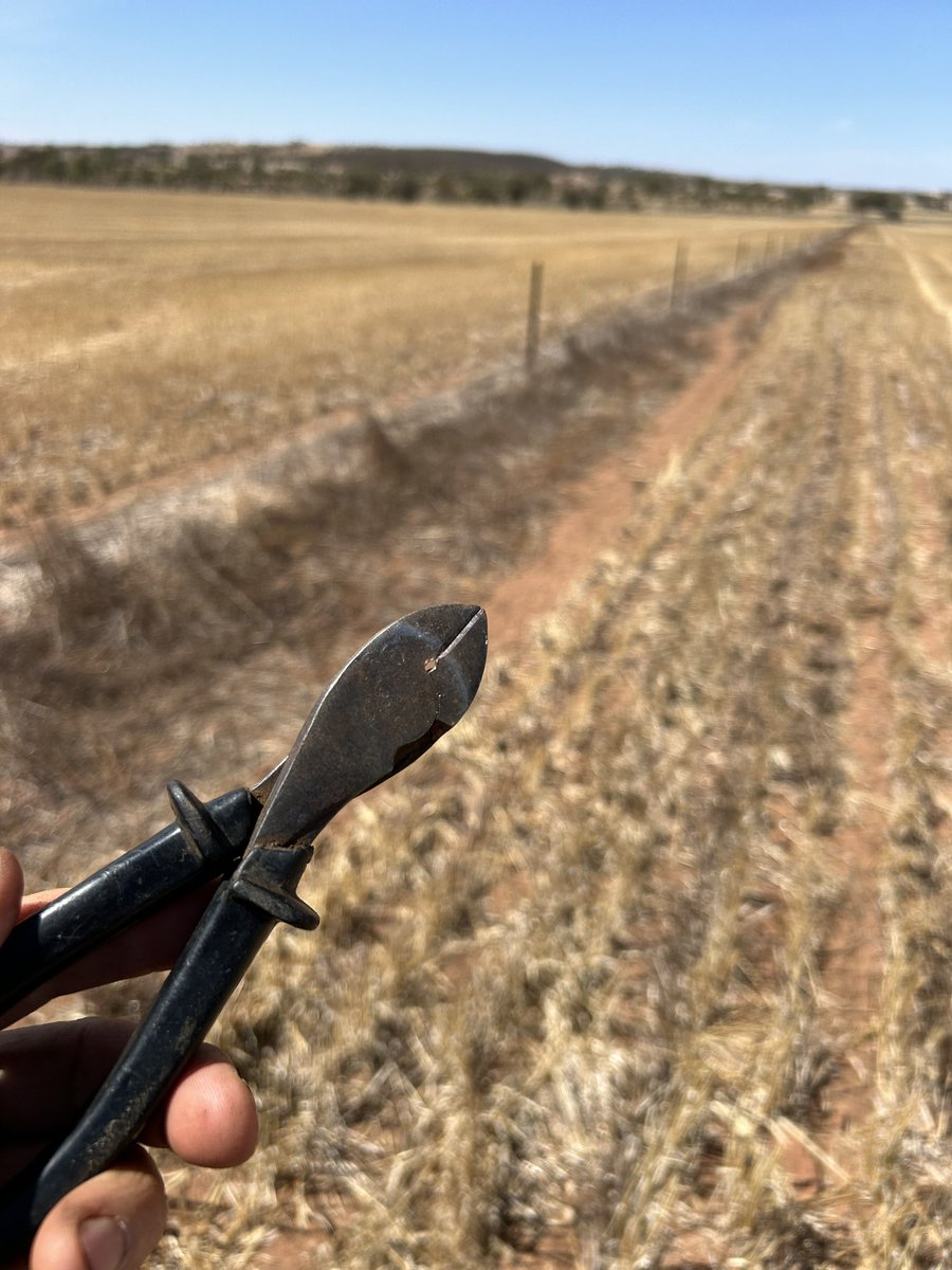 Tony White tweet media