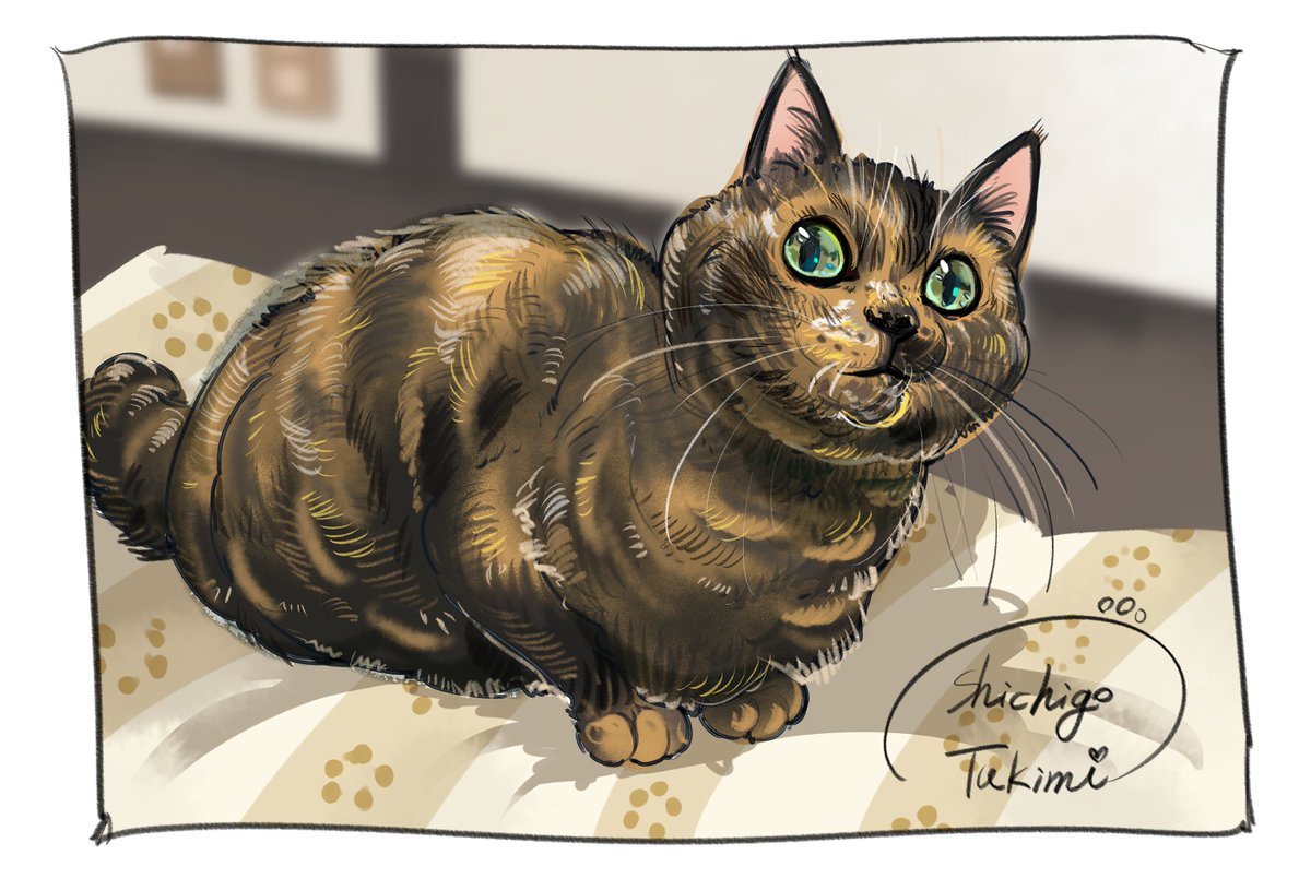 サビ猫好きすじ案件でもかくのはむつかいいね…かわいくかけたかな… 