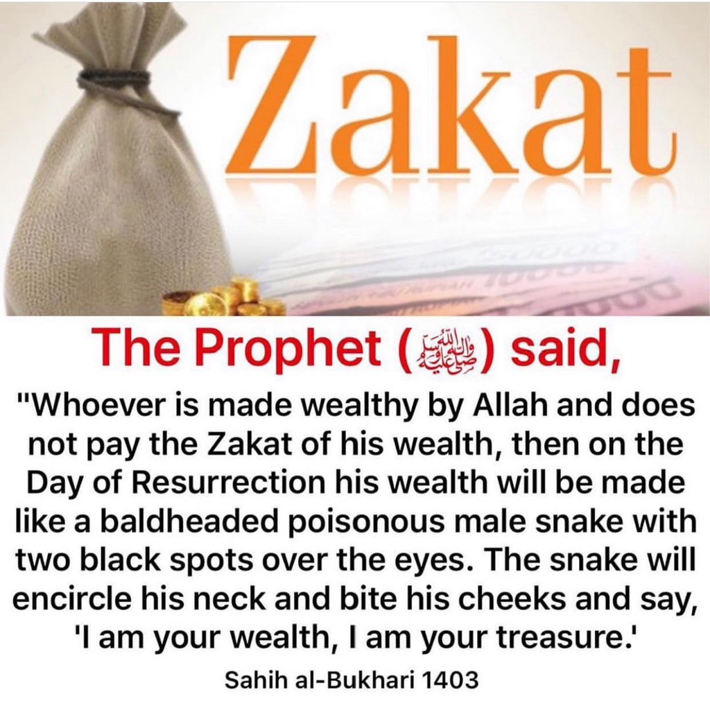 Zayyad_Yazeed's tweet photo. Hadith of the day…💫 https://t.co/T7T068QO5J