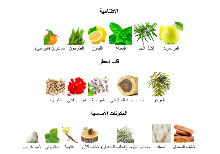 oborystore's tweet photo. 🚨احد اعظم روائع باكو رابان🚨 https://t.co/XSZWu3IlN0