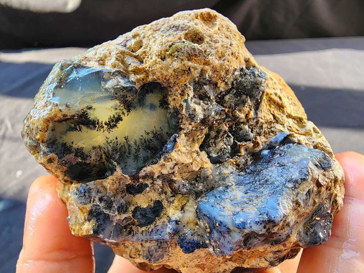 SrlGemstone's tweet photo. Dendritic Opal Nodule
#opal #opale #GEM #gemstones #bluegemstone #dendritic #lapidary #roughgemstone #Rough #crystals #geologyhistory #natural #manhatan #jewelry #jewellery #collector #rockhounding #achate #rocks #naturelovers #gemology https://t.co/2P2MeeMgoi