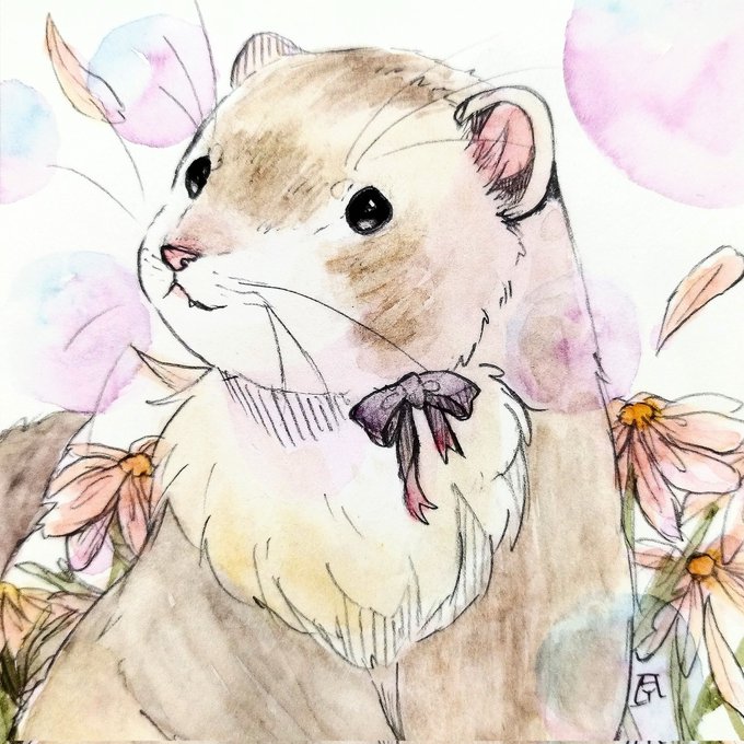 「black eyes hamster」 illustration images(Latest)