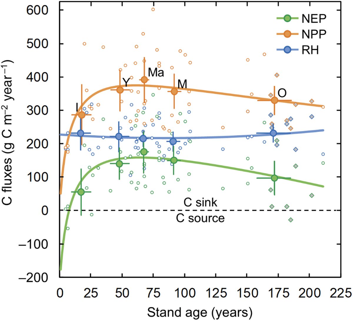 Miten metsän ikä vaikuttaa hiilinielujen kehitykseen? Esimerkiksi tässä ruotsalaistutkimuksessa havaittiin, että nielu (=NEP) on keskimäärin suurimmillaan n. 75 vuoden iässä ja laskee noin puoleen tästä maksimitasosta 200 vuoden ikään mennessä.
1/3
onlinelibrary.wiley.com/doi/full/10.11…