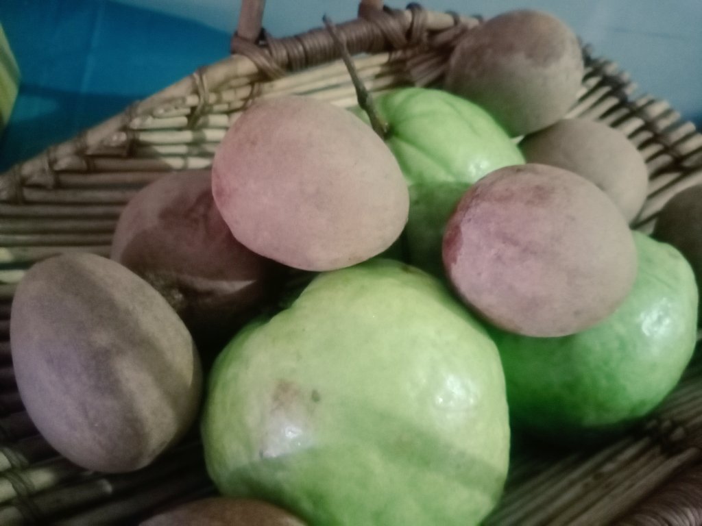 k_aletha's tweet photo. Fresh from Ilocos. Kain po!
#bibingka
#chico #bayabas https://t.co/ep9AyeV1gK