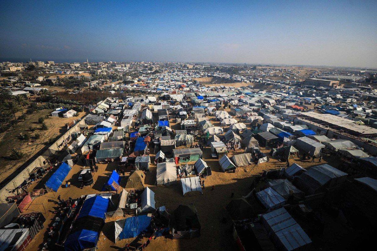 Timesofgaza's tweet photo. Day 137 | Good morning from Rafah https://t.co/7shJQsuFGt