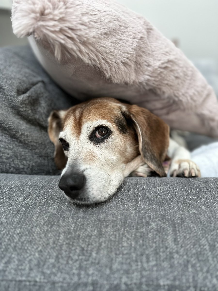 Jennifer Cabe tweet media