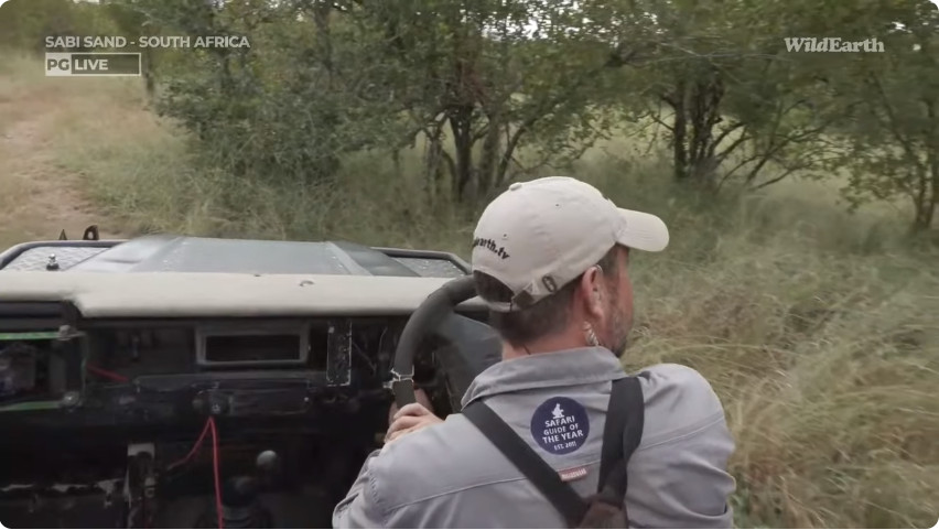 vokstar's tweet photo. #StrapCheck #wildearth https://t.co/Q6aXBCYuJp