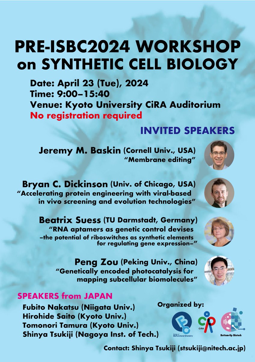 📢On April 23, @hirohide_saito and I will organize 'Pre-ISBC2024 Workshop on Synthetic Cell Biology' at Kyoto University @CiRA_KU_J. Check out the exciting lineup of invited speakers: @basktastic, @chembioBryan, @suess_lab, & Peng Zou. No registration needed. Come and join us!!😃