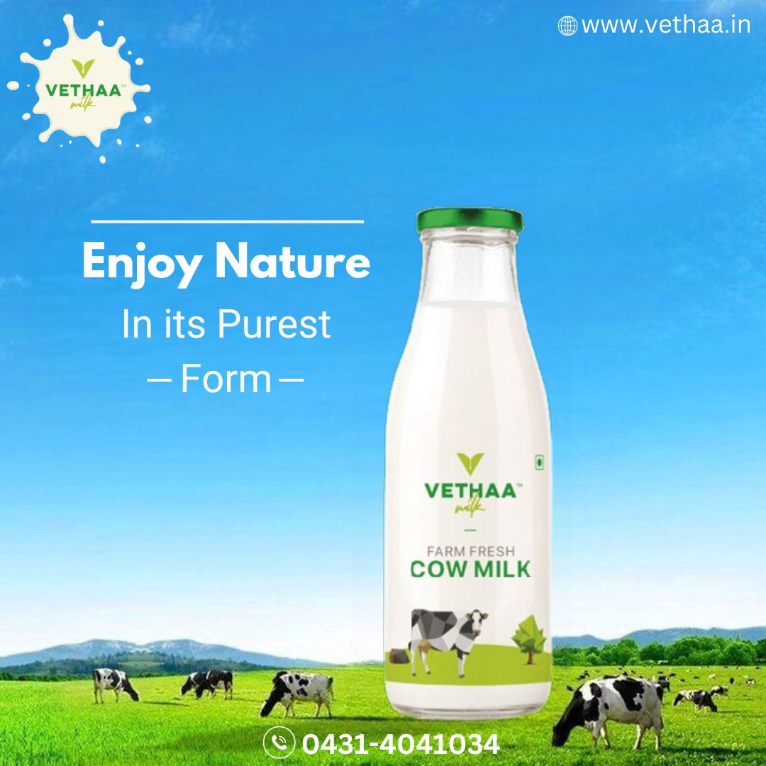 MilkVethaa's tweet photo. "Vethaa Milk: Nature's Power Potion for Strong Bones and Healthy Bodies!"

visit our website: https://t.co/7j5o4nE8no

#milkdrink #milktime #bestmilkproductstamilnadu #bestmilkproductsintrichy #BestMilkProducts #milkshopnearme #milkshop #bestmilk #trichy #curd #organicmilk https://t.co/HtgJpzaRpr