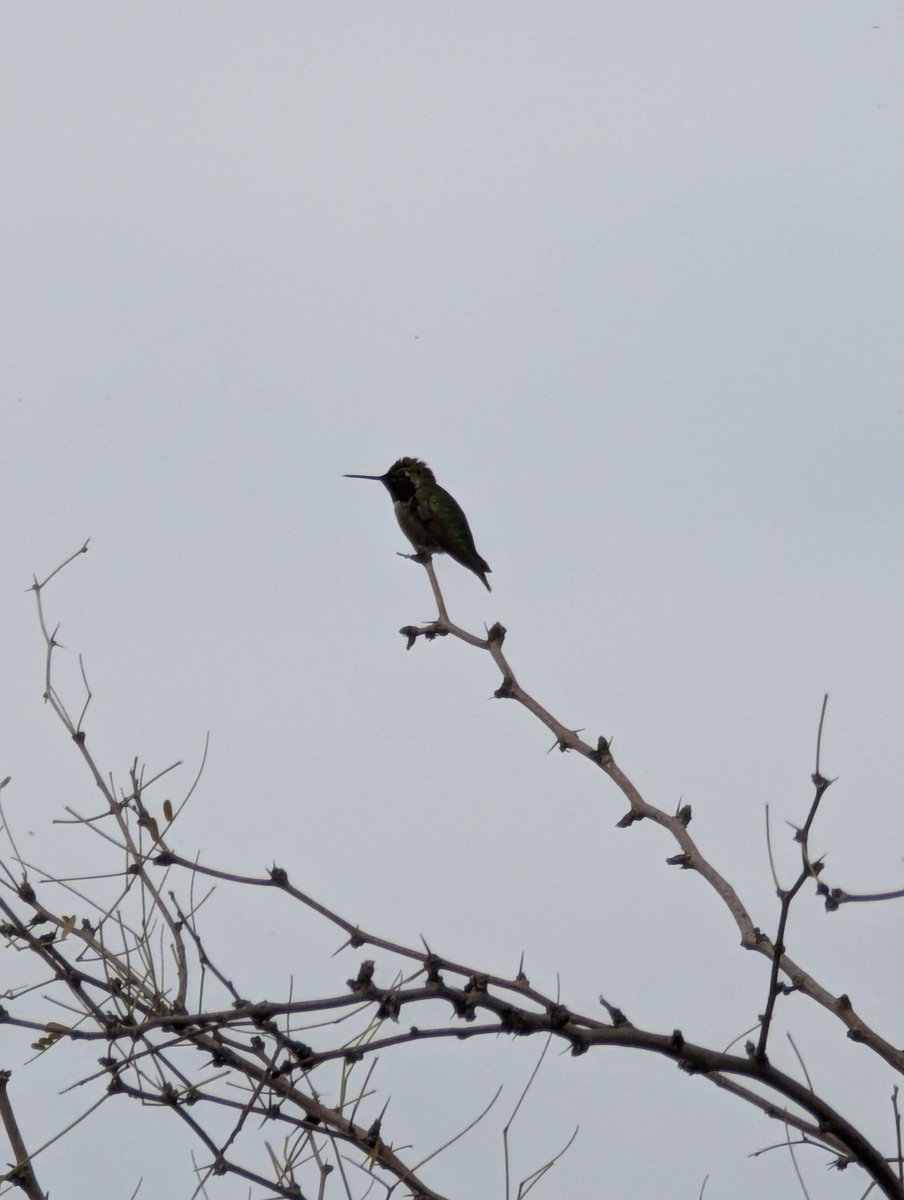 LegoshiNet's tweet image. Go touch some grass