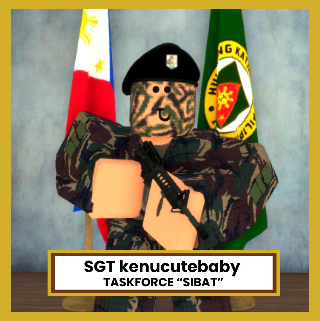 Philippine Defense Forces tweet media