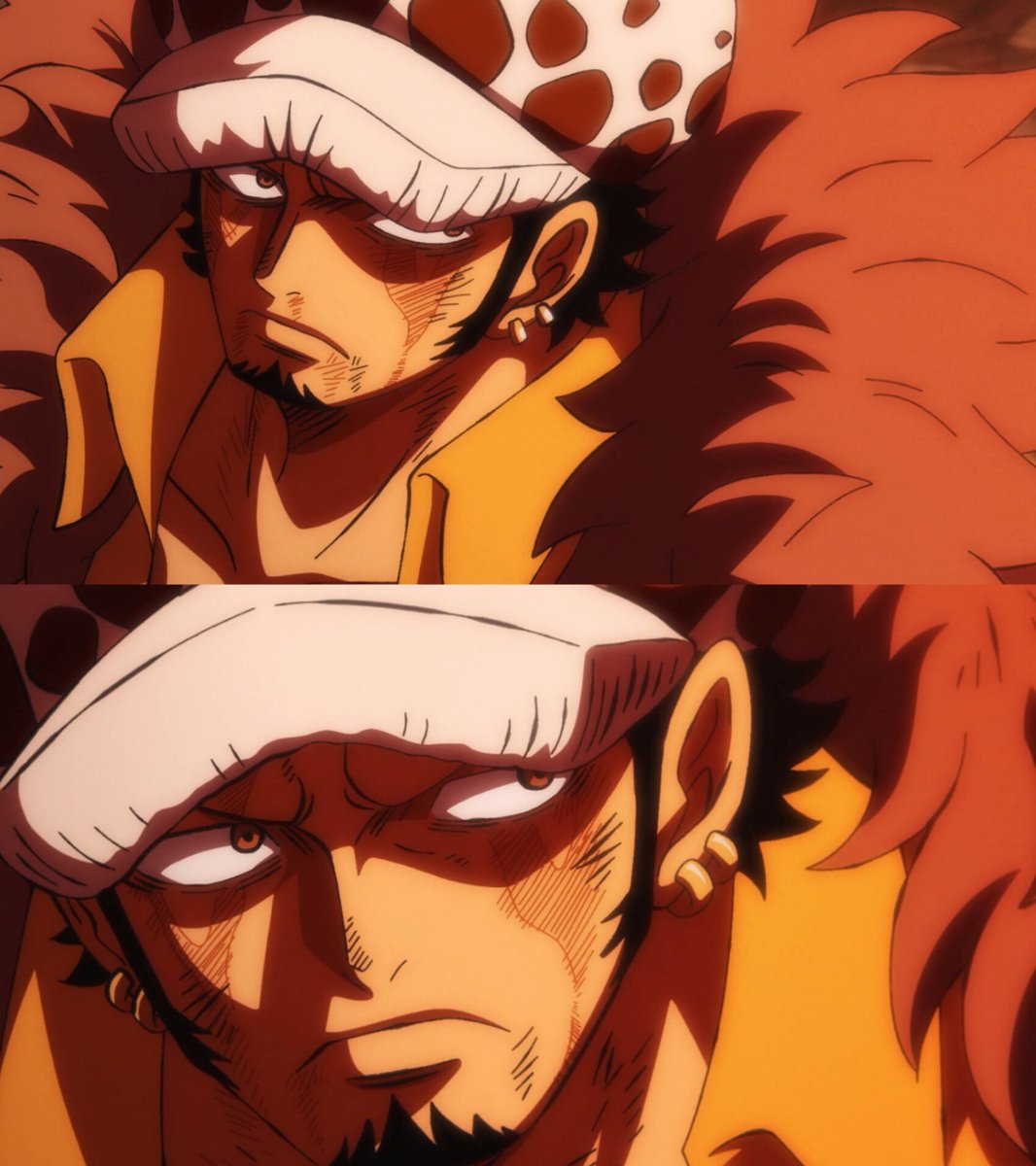 ToraLawnigiri's tweet photo. https://t.co/6esM2om1kA
