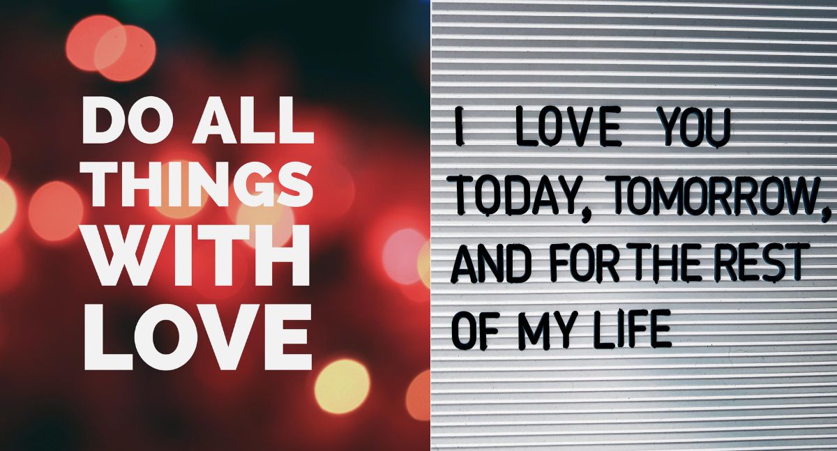 - S O R T R A - tweet media