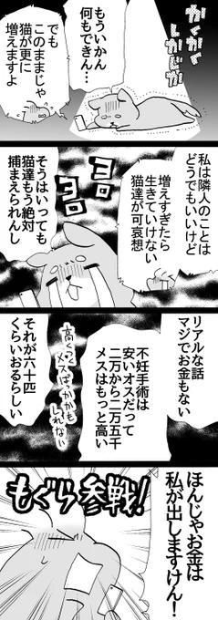 四コマ「祖父んちの隣人が多頭飼育崩壊した話57」
もぐら参戦!
というわけで以降の不妊手術代は私が出しました。
推し(猫)の為なら仕方ない。

#猫 #四コマ漫画 #御かぞくさま御いっこう 