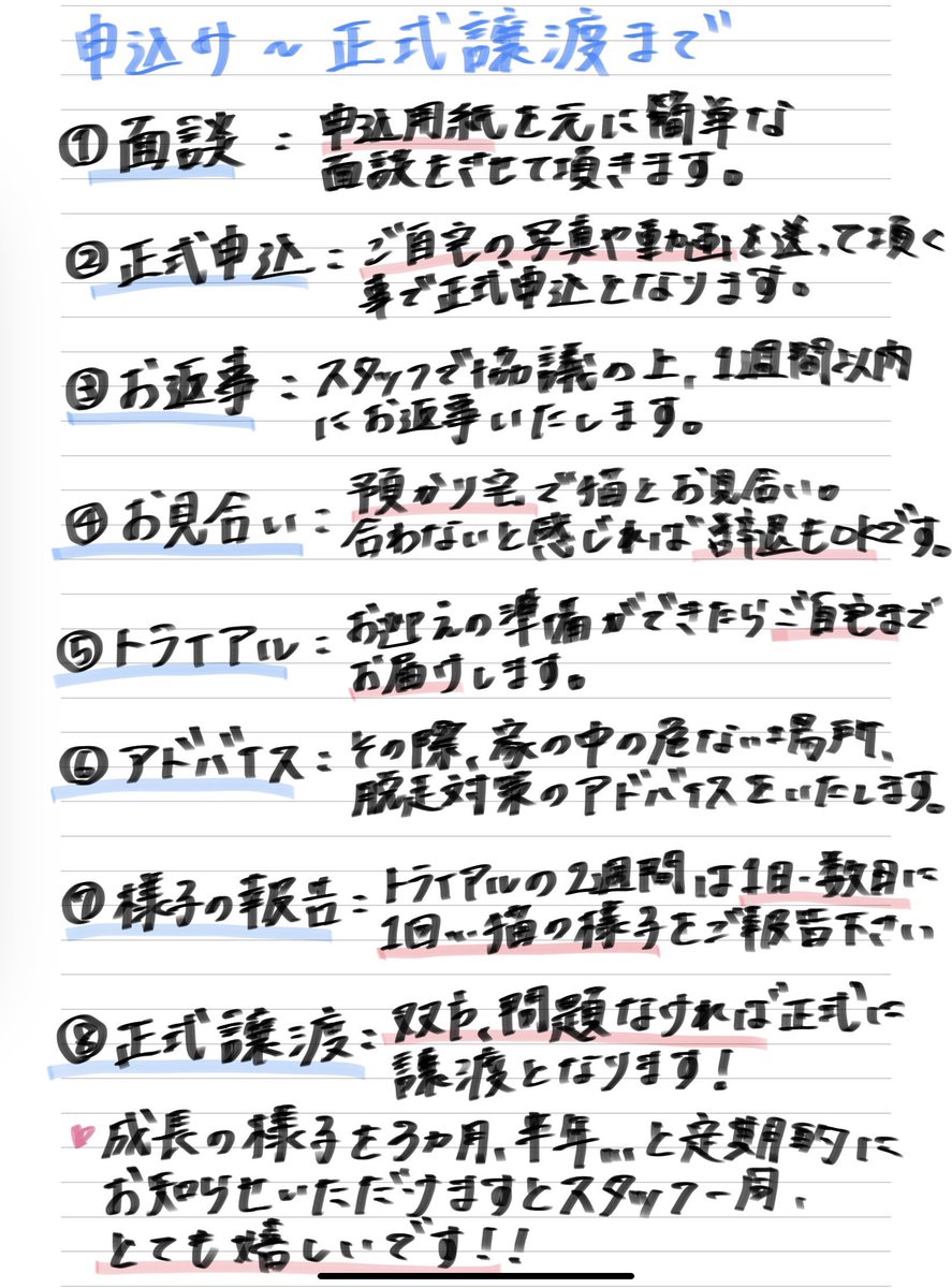 minatoneco's tweet photo. 【次回は3月🐈】

土曜日は譲渡会でした！
今回も沢山の方にお越しいただき嬉しい限りです☺️
ご来場くださった皆様、ご寄付くださった皆様心より感謝いたします✨

次回譲渡会は3/10(日)！
猫を飼いたいけど迷っている、という方も是非ご相談ください💪
皆様と猫ちゃんに素敵なご縁がありますように🙏 https://t.co/iCjUrTH2aO