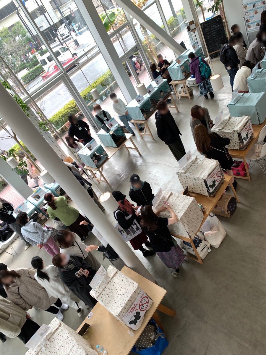 minatoneco's tweet photo. 【次回は3月🐈】

土曜日は譲渡会でした！
今回も沢山の方にお越しいただき嬉しい限りです☺️
ご来場くださった皆様、ご寄付くださった皆様心より感謝いたします✨

次回譲渡会は3/10(日)！
猫を飼いたいけど迷っている、という方も是非ご相談ください💪
皆様と猫ちゃんに素敵なご縁がありますように🙏 https://t.co/iCjUrTH2aO