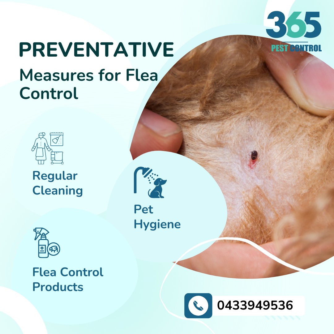 Book your Pest control services on 365 pest control in Wyndham Vale

Call us today @ 0433949536

Visit us: 365pestcontrol.com.au/pest-solutions…

#pestcontrol #pestcontrolservice #pest #fleascontrol #pets #pestmanagement #fleas #insects