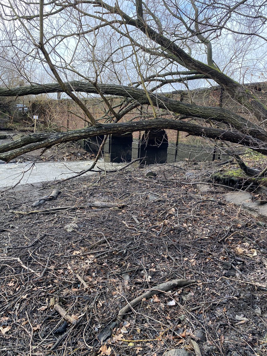 silkstreamers's tweet photo. #CleantheHarp Good to join another cleanup at the drained #BrentReservoir where we continued clearing litter along the ‘revealed’ #SilkStream About 70+ bags, tyres &amp; other items this time. Still a lot to do before the refilling of the reservoir💧
Next #cleanup Saturday 24 Feb🙏 https://t.co/4RhkMhLRcV