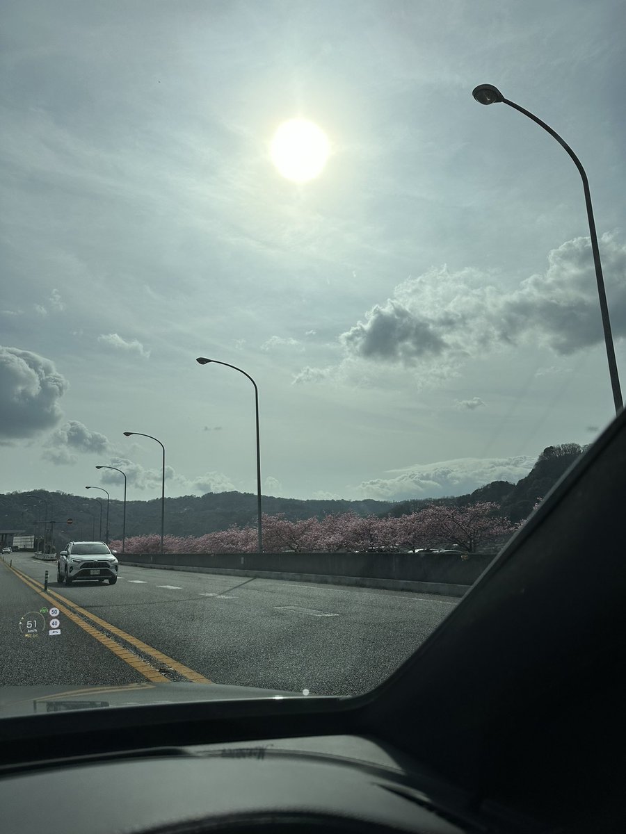 ginza9999's tweet photo. 今年初桜🌸 https://t.co/70AfC41Ic5