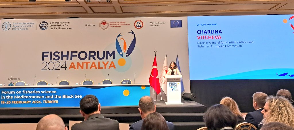 nico_fournier's tweet image. #fishforum2024 opening in Antalya, keynotes speakers @Manu_FAO stresses reduction of fishing effort by 31% since 2012 paid off. Yet efforts must continue as @vitcheva_eu points the importance of #Medfish4Ever &amp;amp; GFCM 2030 Strategy, especially to make fisheries climate resilient