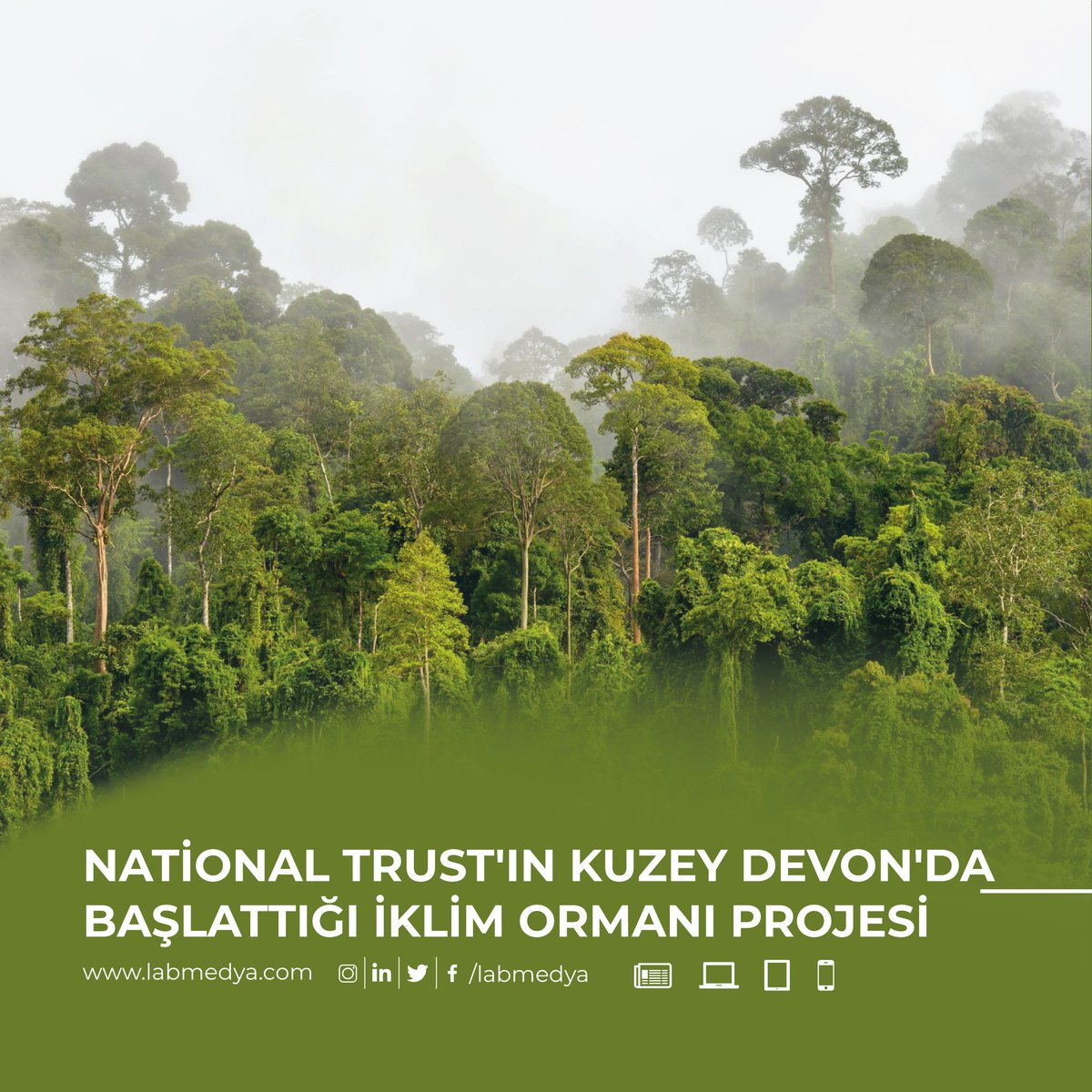 labmedya's tweet photo. İklim Değişikliği Ağaçları Tehdit Ediyor!
National Trust, 100.000 ağaç dikerek iklim ormanı oluşturuyor.
Haber: https://t.co/gTN7Ef8sPW
#İklimOrmanı #DoğayıKorumak #GelecekIçinAğaçDik #labmedya https://t.co/SAvTTqD330